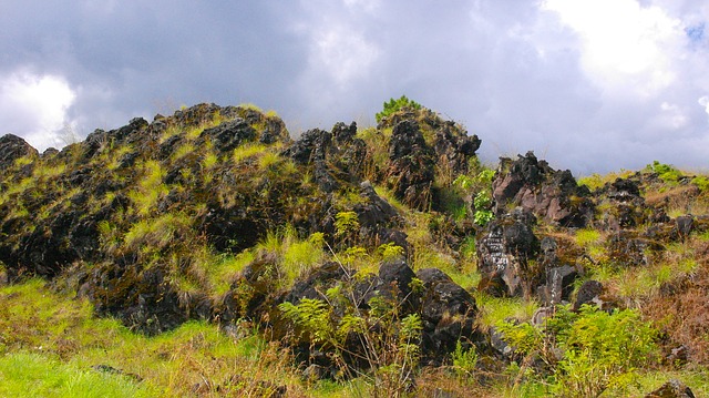 Jung, Aktiv und Individuell, Indonesien
