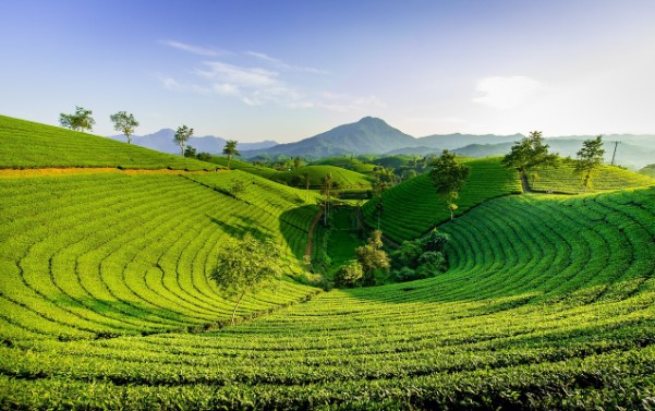 Ausflug zur Parfüm Pagode in Chua Hong, Vietnam