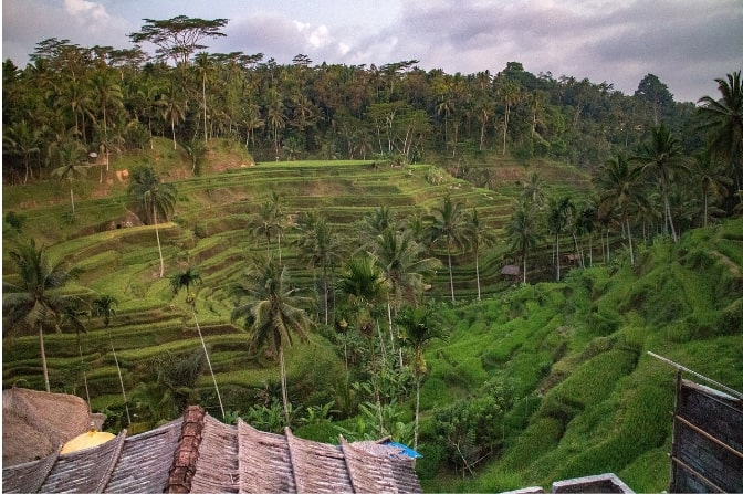 Borobudur & Merapi Dörfer Tour, Indonesien