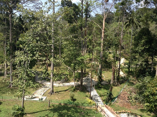 Die Schätze von Taman Negara, Malaysia