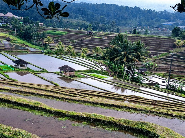 Einfaches Trekking bei Tetebatu, Indonesien