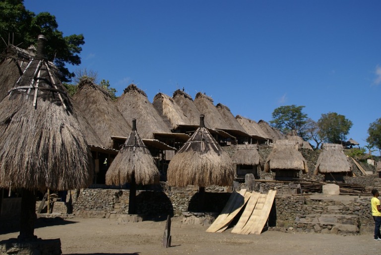 Exotisches Flores - Rinca - Komodo, Indonesien