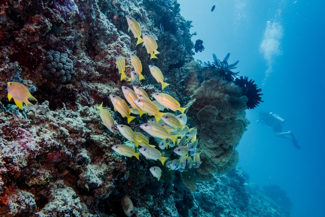 Fahrt nach Gili Bidara Lampu und Kondo, Indonesien