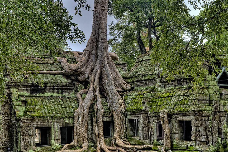 Jungle Lodge Erfahrung, Kambodscha