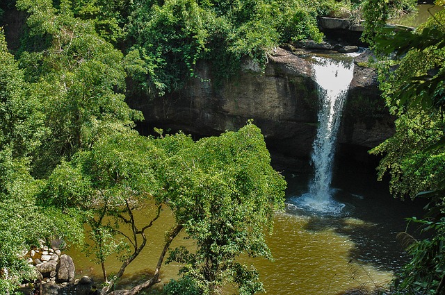 Khao Yai Nationalpark, Thailand