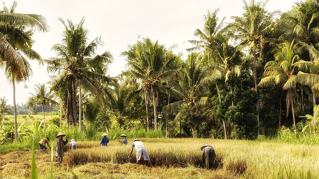 Nostalgische Zugfahrt ab Ambarawa, Indonesien