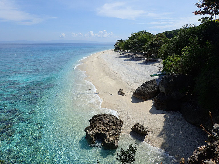 Oslob Whaleshark Tour mit Helikopter, Philippinen