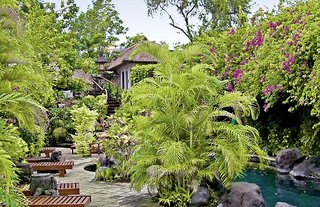 Poppies Bali