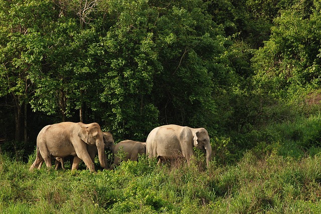 Prachuab Khiri Khan City & Kui Buri Nationalpark, Thailand