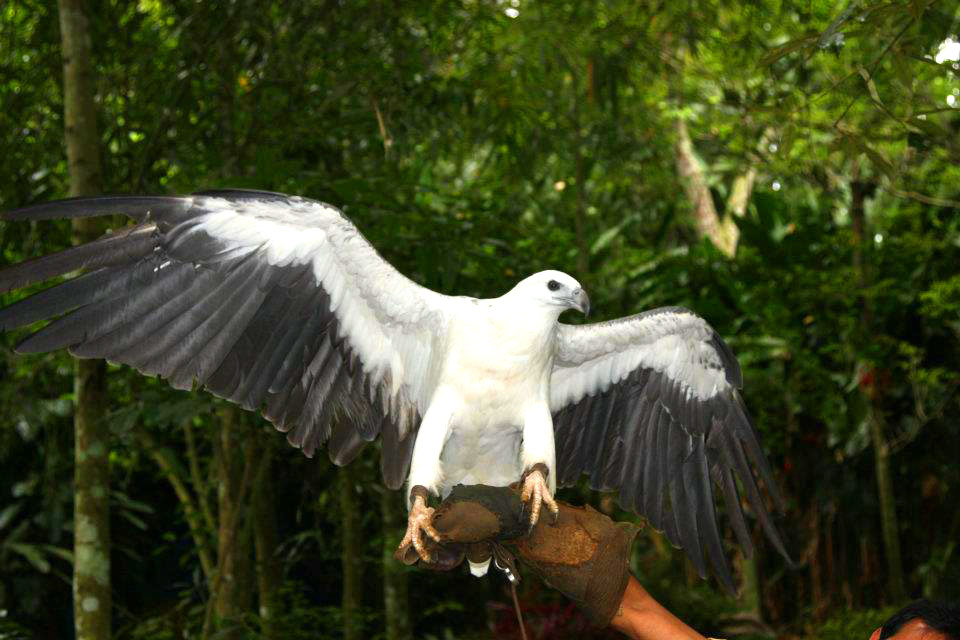 Samal Island Tour mit Mittagessen auf der Perlen Farm , Philippinen