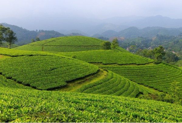 Tagesausflug nach Tam Dao, Vietnam