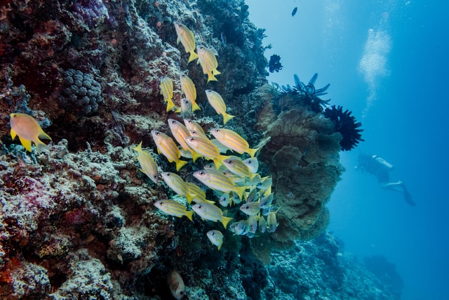 Fahrt nach Gili Bidara, Lampu und Kondo, Indonesien