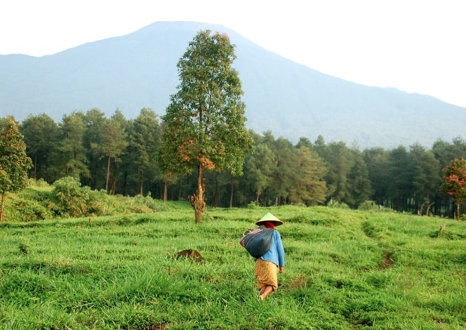 Tour zum Krebet Village, um die Herstellung
von Holzpuppen zu sehen und zu üben, Indonesien