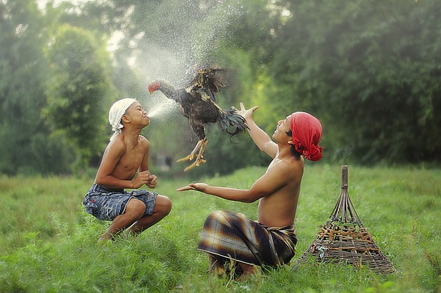 Unterwegs auf Lombok, Indonesien