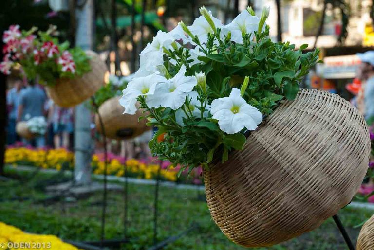 Vietnam Relaxed, Vietnam