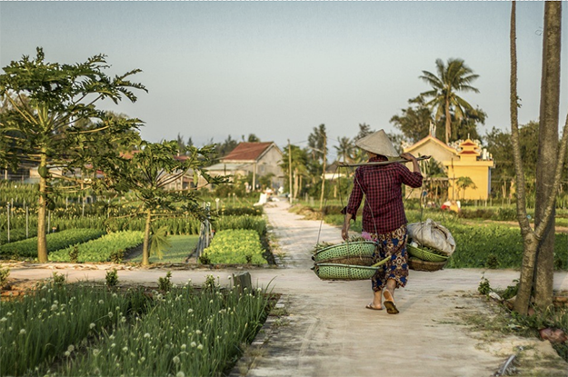 Vietnam - Land und Leute, Vietnam