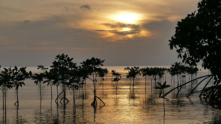 Zwillingsinsel Abenteuer, Philippinen