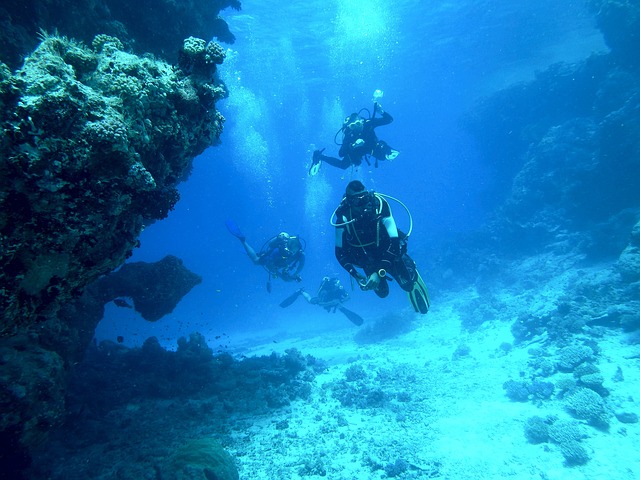 Tauchen mit Haien bei Gili Biaha, Indonesien