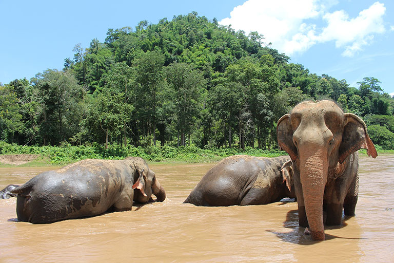 East Thailand, Thailand