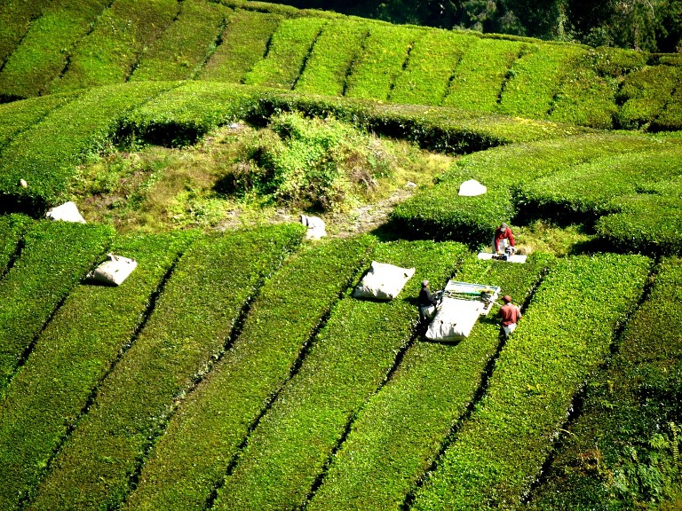 Spaß in Genting Highlands, Malaysia