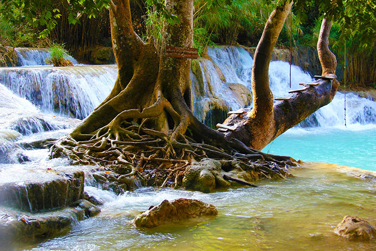 Unique South Thailand, Thailand